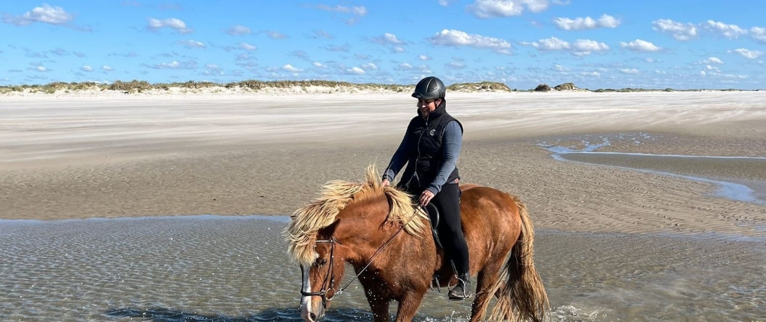 Blåvand Turridning